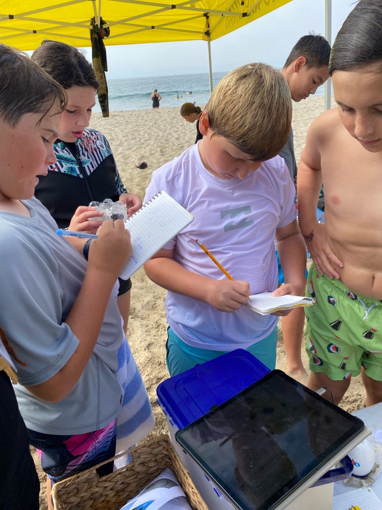 STEAM on the beach